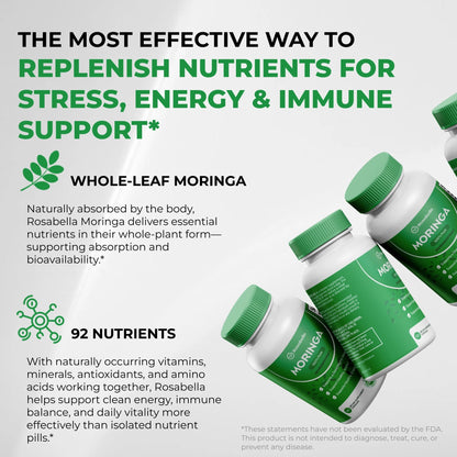 Rosabella Moringa Capsules - Pure Moringa Powder, Energy, Skin, Immune & Gut Health Superfood, Rich in Antioxidants, Essential Vitamins & Amino Acids, Natural Green Superfood Supplement - 60 Count